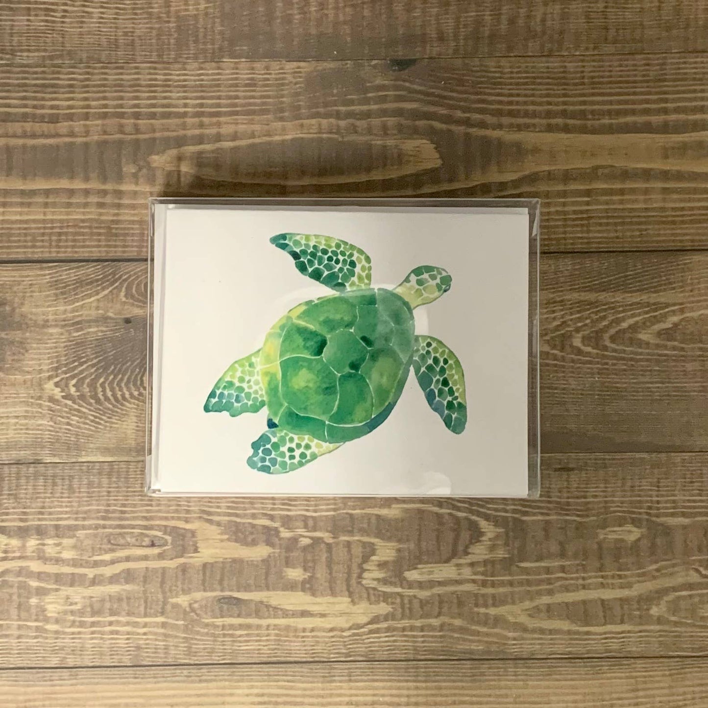Turtle Note Cards - Set of 8 cards Stationery/Notecard Set Blue Poppy Designs Art Only  