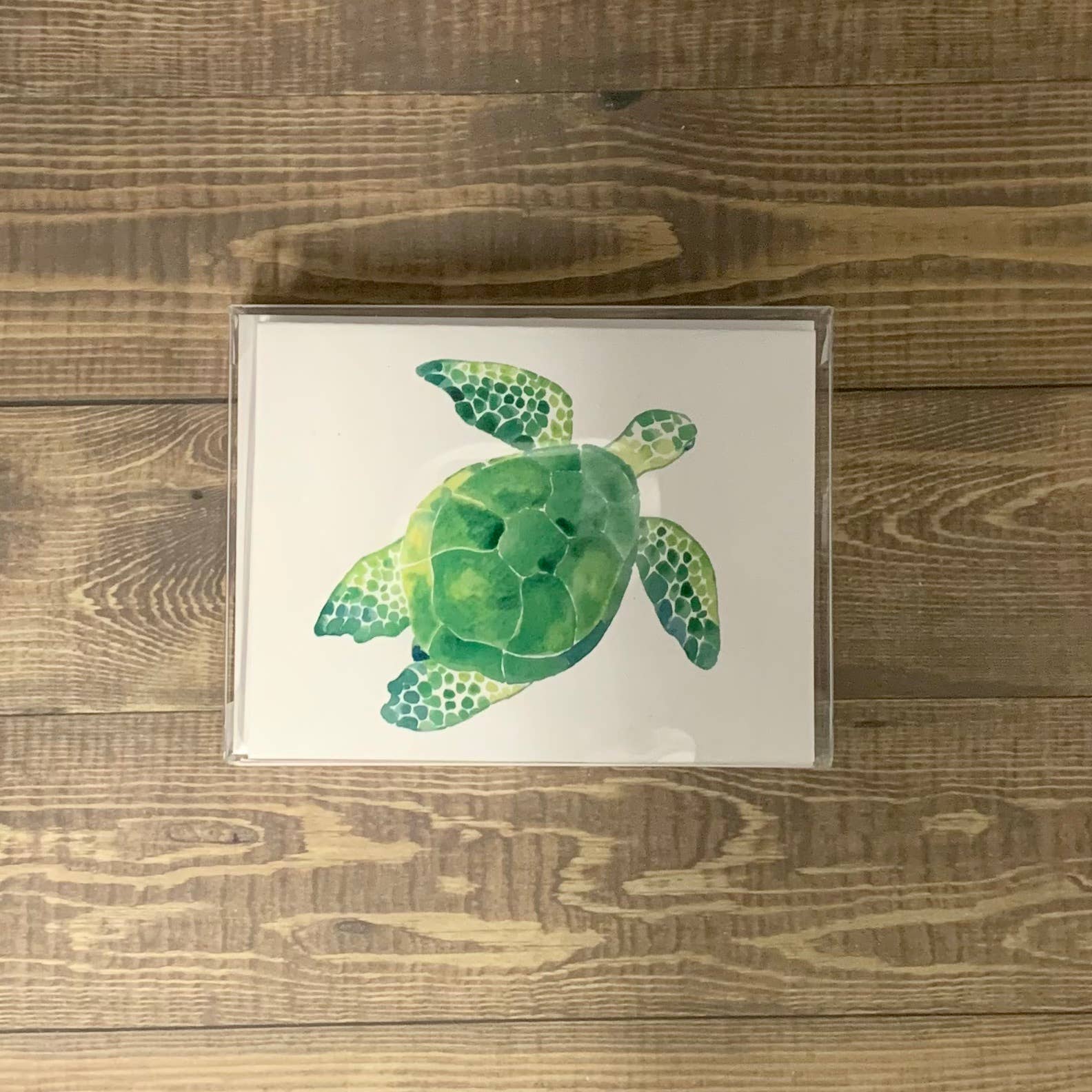 Turtle Note Cards - Set of 8 cards Stationery/Notecard Set Blue Poppy Designs Art Only  
