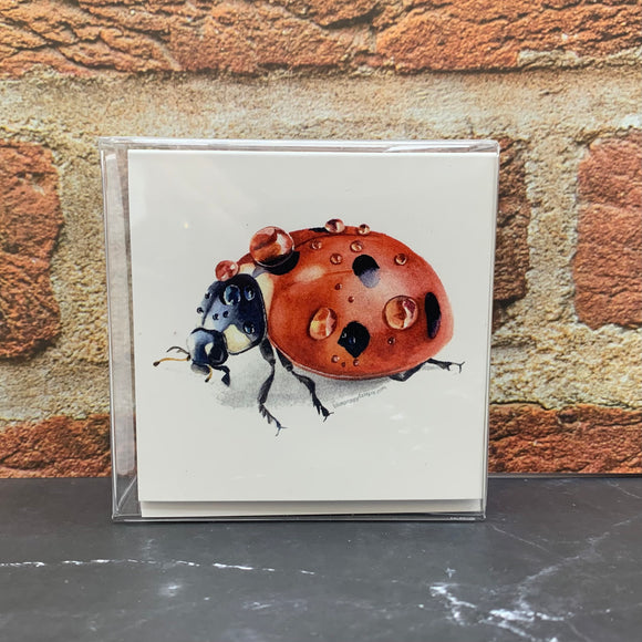 Ladybug Enclosure Cards - Set of 10 cards  Blue Poppy Designs   